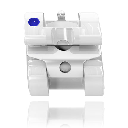 Experience Ceramic MBT LL5 22 Slot 