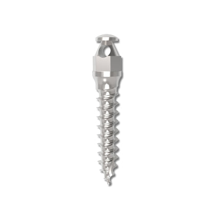 Absoanchor Small Head 6mm 