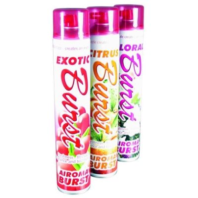 AiromaÂ® Burst Large Space Aerosol 750ml Case Of 6