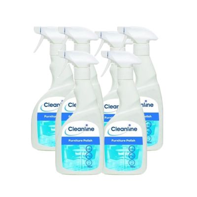 Cleanline Polish Complete With Trigger 750ml (Case of 6)