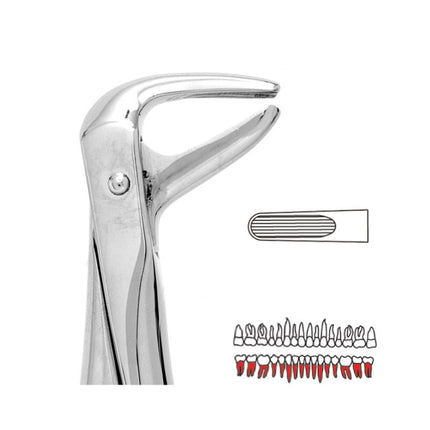 Forceps - Autoclavable 74 Lower Roots 