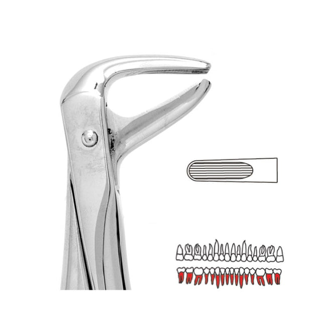 Forceps - Autoclavable 74 Lower Roots 
