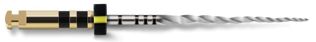 ProTaper Next Sterile 31mm X4 040/06 - Black 
