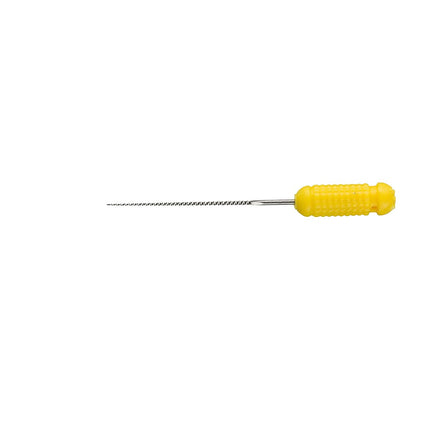 K-File 31mm Size 20 