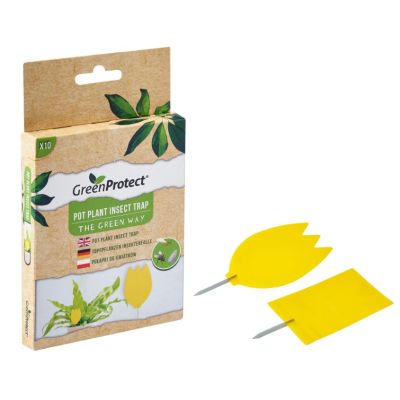 Green ProtectÂ® Pot Plant Insect Traps (Pack of 10)