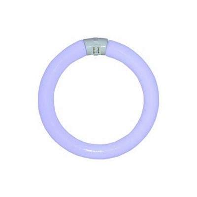 Replacement Lamp Wemlite 22 Watt 8" Circline