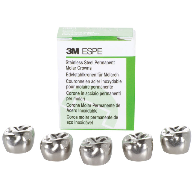 Stainless Steel Crowns Permanent Molar Uppers â€“ Left 6-UL-3 