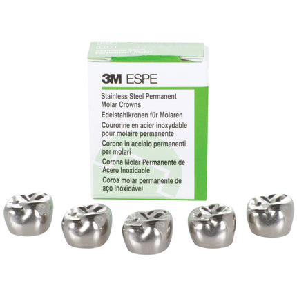 Stainless Steel Crowns Permanent Molar Uppers â€“ Right 6-UR-7 