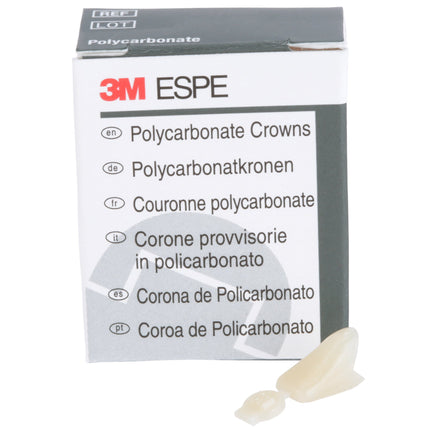 Polycarbonate Crowns Canines Right 34 