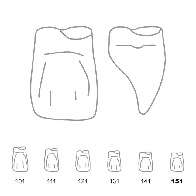 Odus Pella Transparent Crown Forms Central-Cervical Part Enlarged 151 