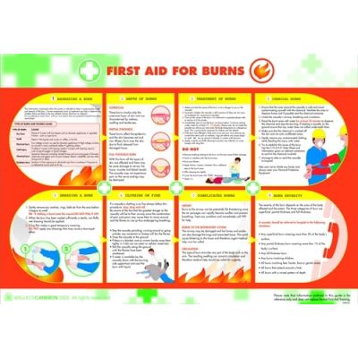 First Aid for Burns Poster (420 x 590mm)